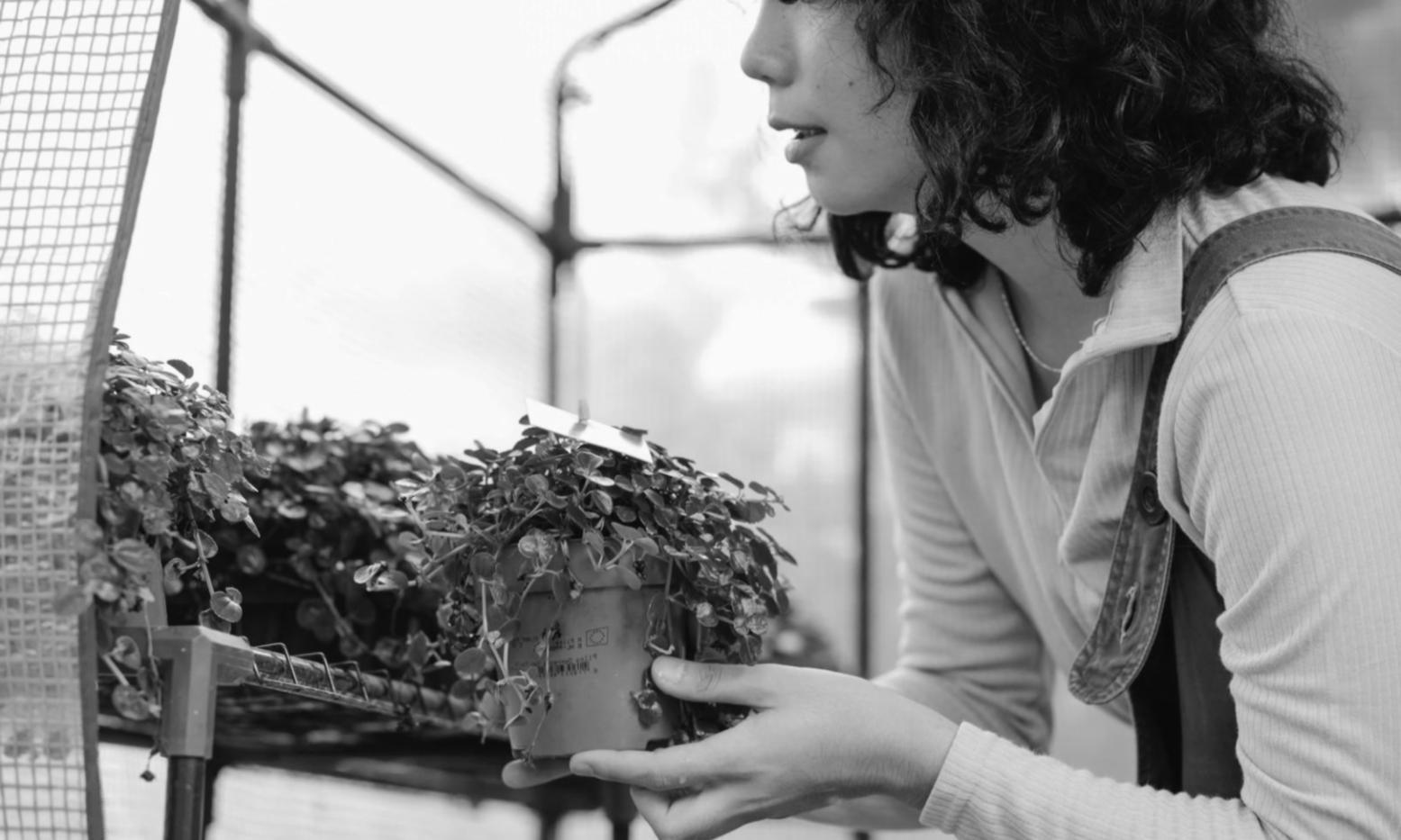 Floral arrangement workshop at Lunera Mind studio with students creating unique designs